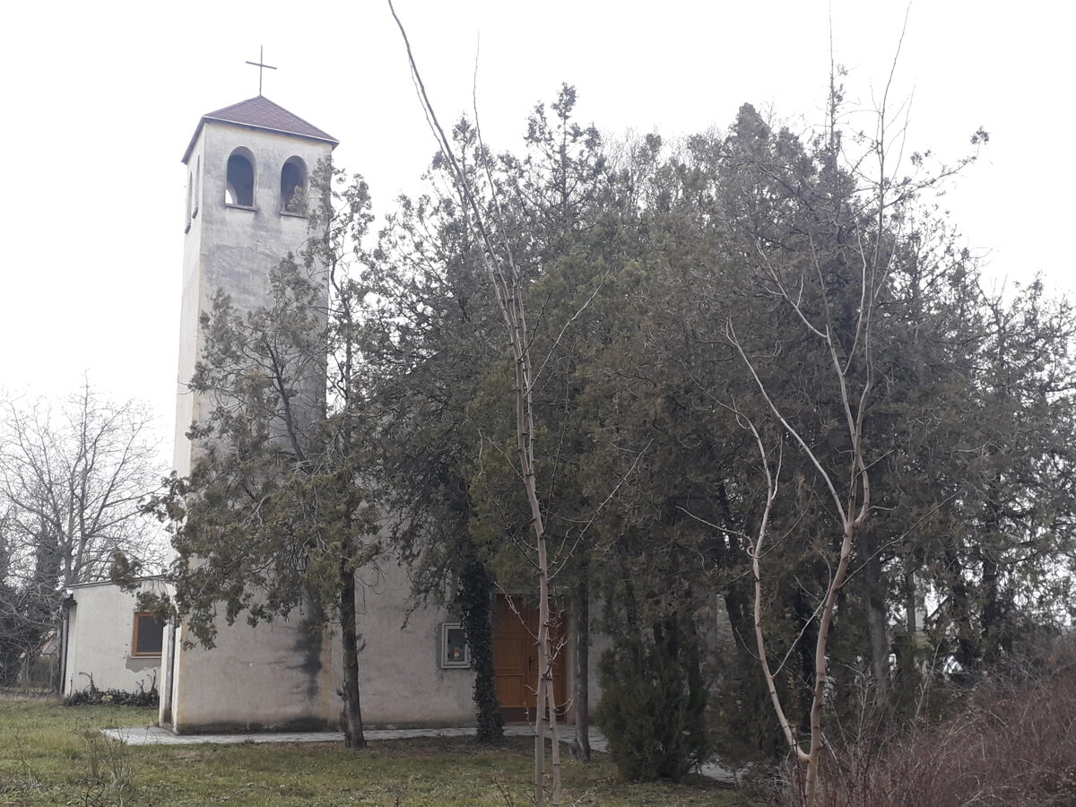 20250213_103557.jpg